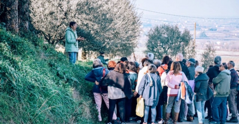 Alla ricerca di profumi e sapori delle erbe spontanee